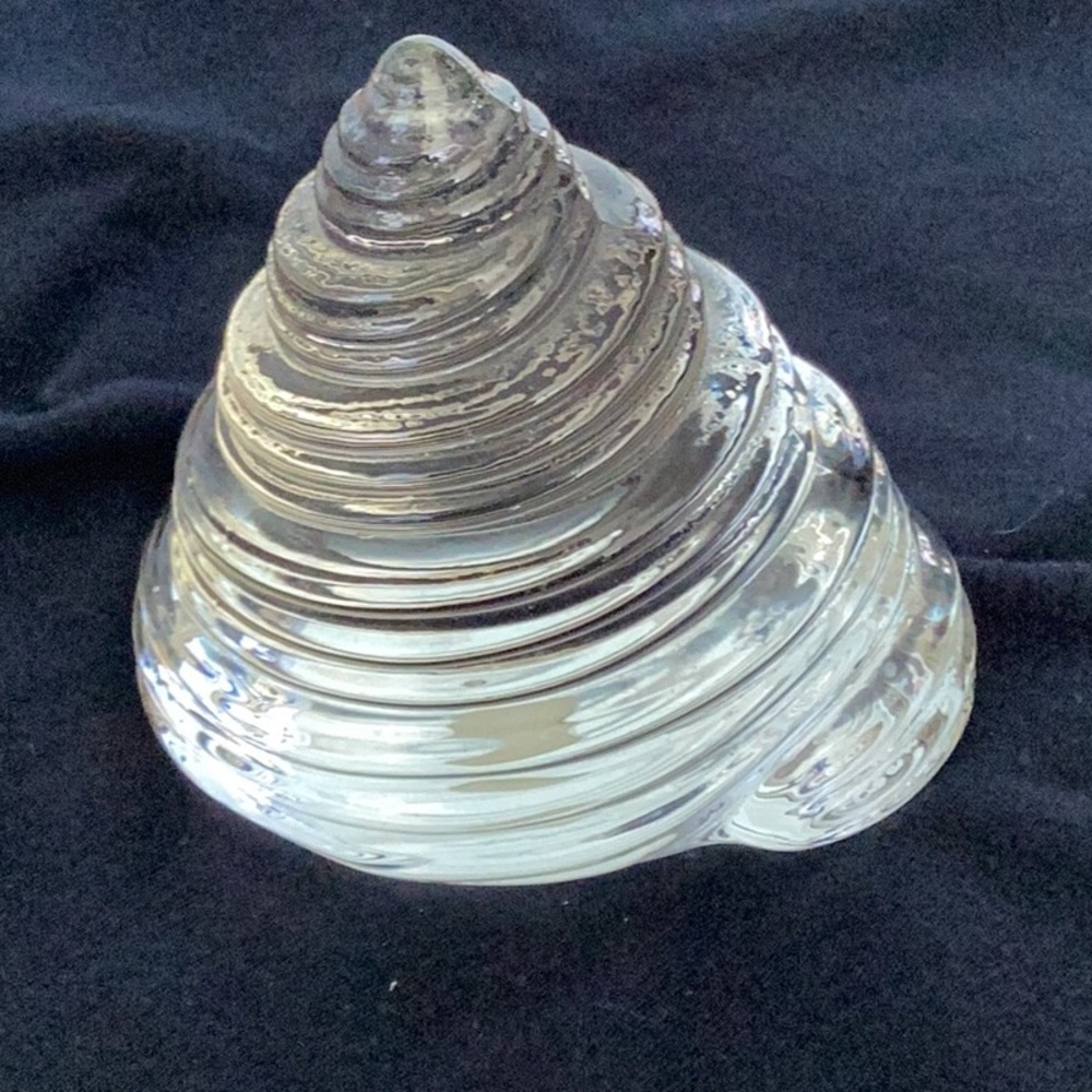 Omnibus Spiral Shell Glass Art Sculpture